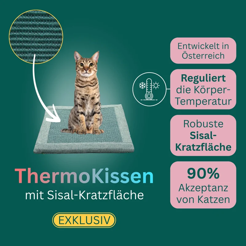 ThermoKissen mit Sisal
