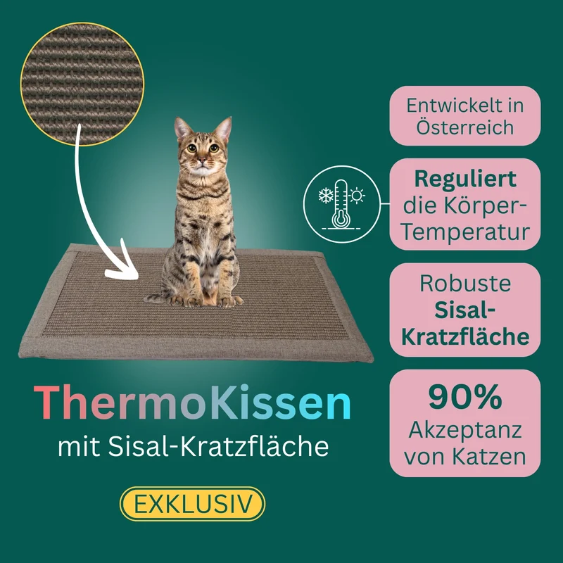 ThermoKissen mit Sisal