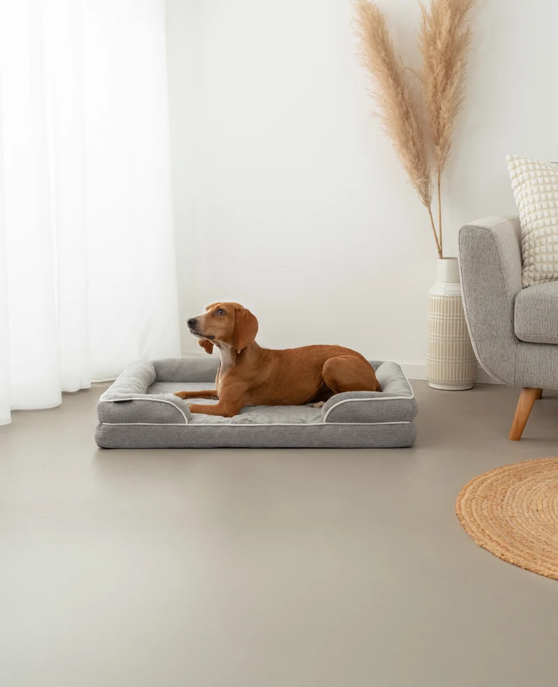 Orthopädisches Hundebett mit erhöhtem Rand, rutschfest