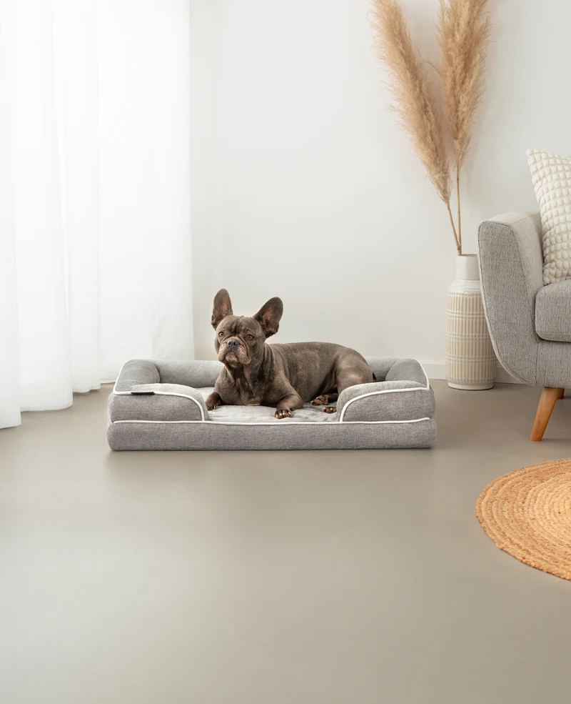 Orthopädisches Hundebett mit erhöhtem Rand, rutschfest