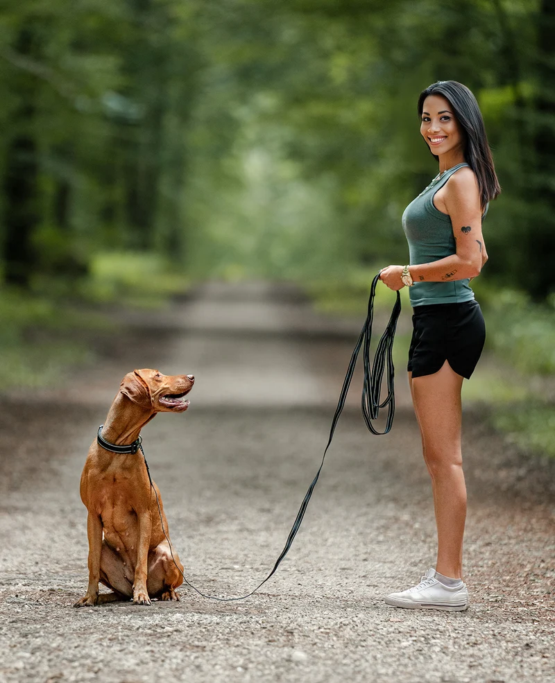 Gummierte Schleppleine für Hunde, reflektierend