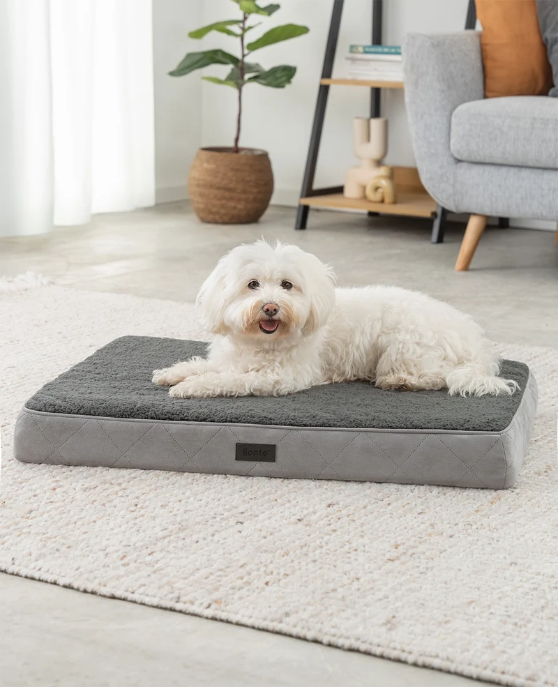 Orthopädisches Hundebett mit Plüsch