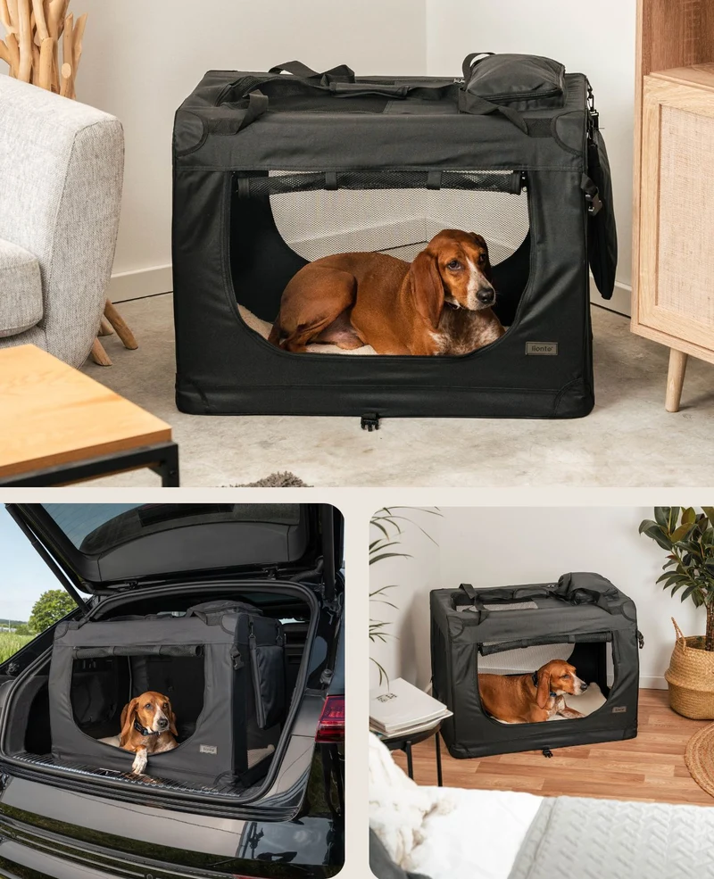 Hundetransportbox faltbar