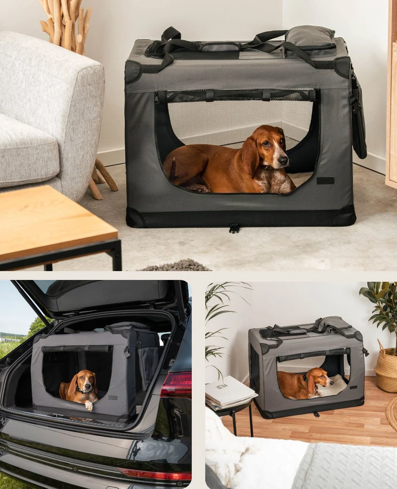Hundetransportbox faltbar