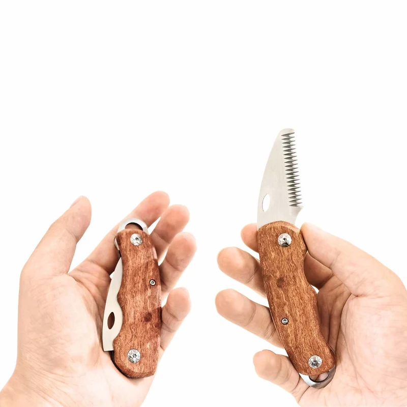Folding Walnut Dog Stripping Knife