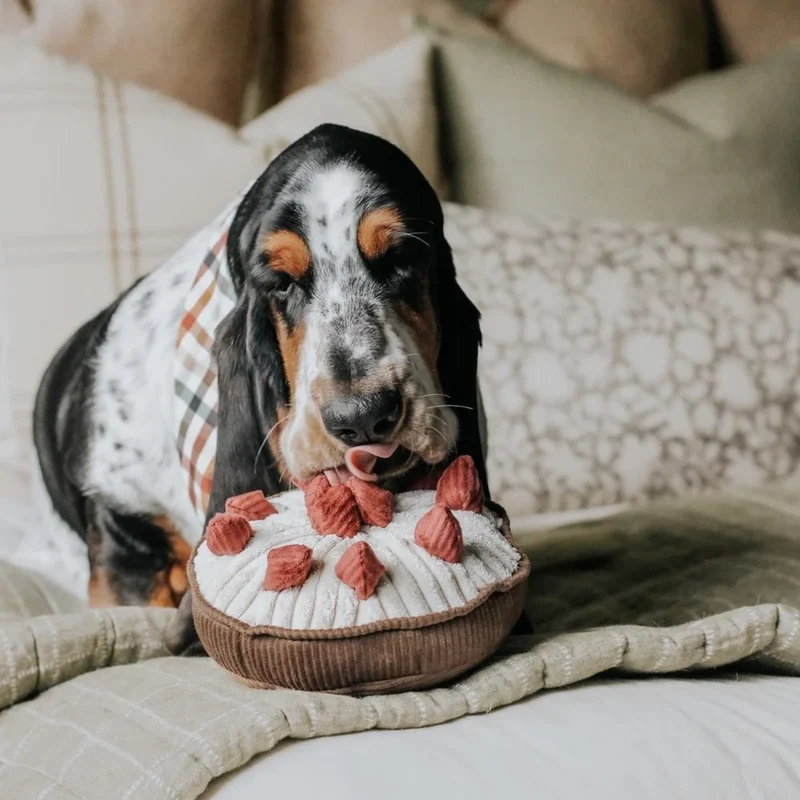 Schnüffelspielzeug Berrie Pie