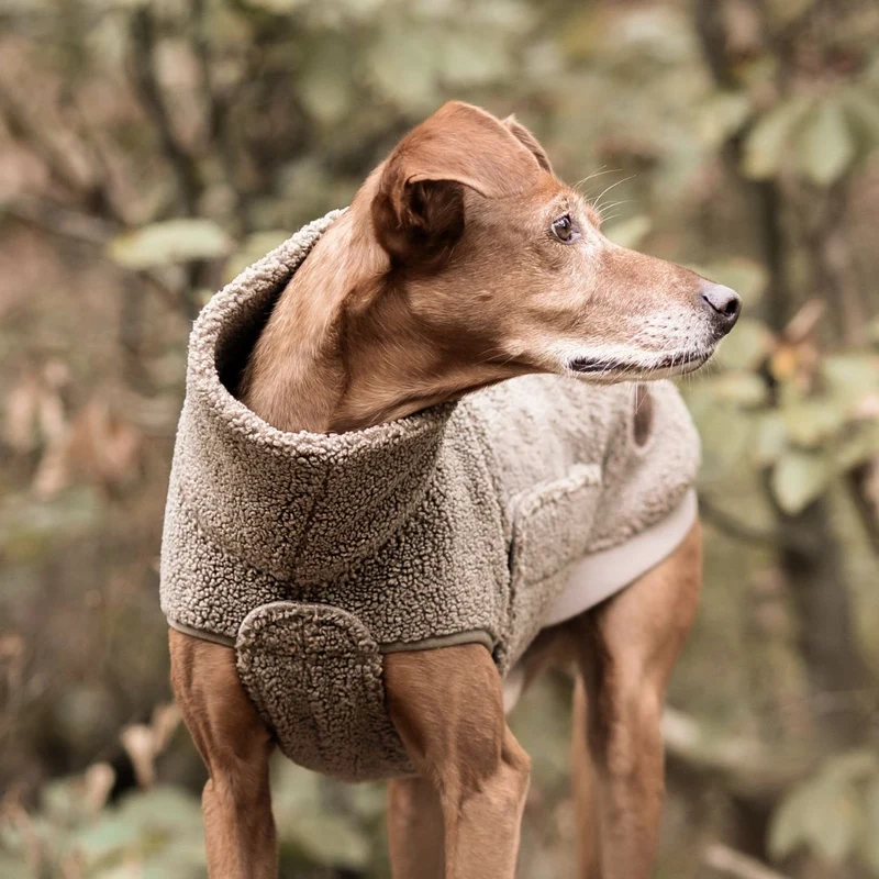 Hundepullover Derby Plush 2.0 Taupe C7 x Woofstuff