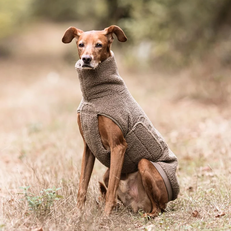 Hundepullover Derby Plush 2.0 Taupe C7 x Woofstuff