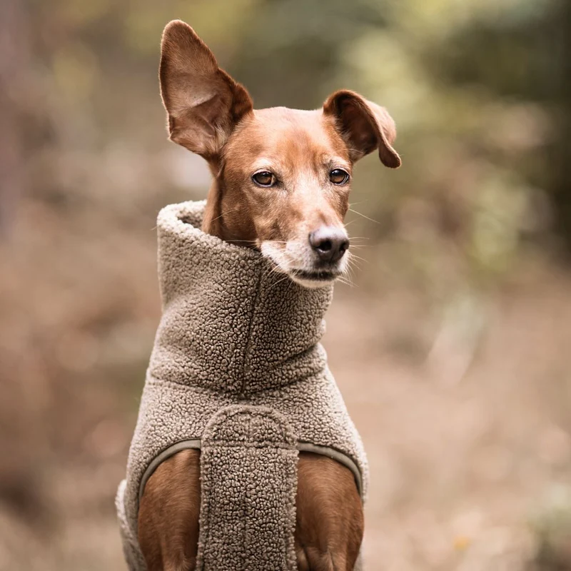 Hundepullover Derby Plush 2.0 Taupe C7 x Woofstuff
