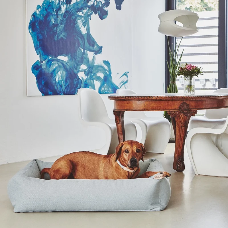 Replacement Cover - Sonno Box Dog Bed