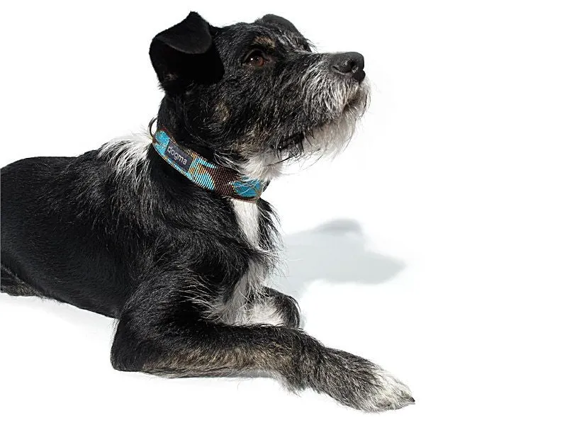 Dogma Hundehalsband Aloha 20mm