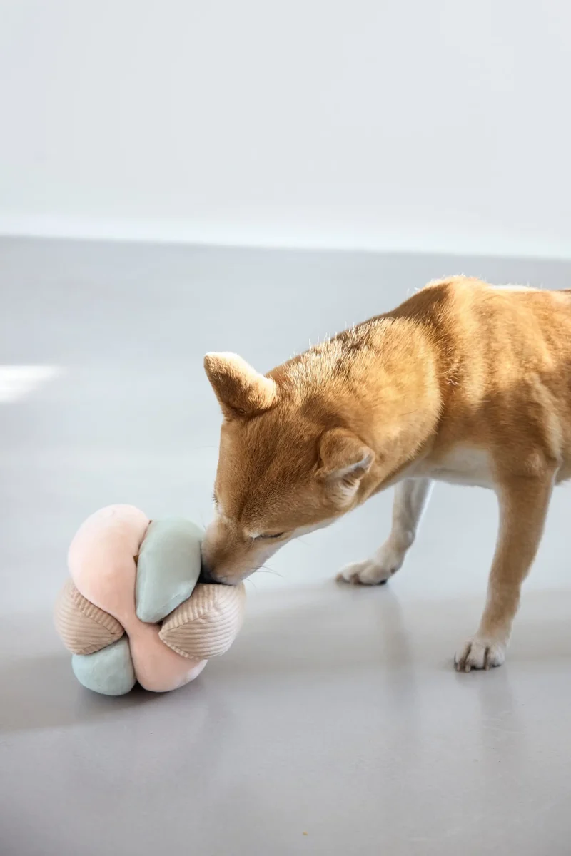 Palopa Hundespielzeug