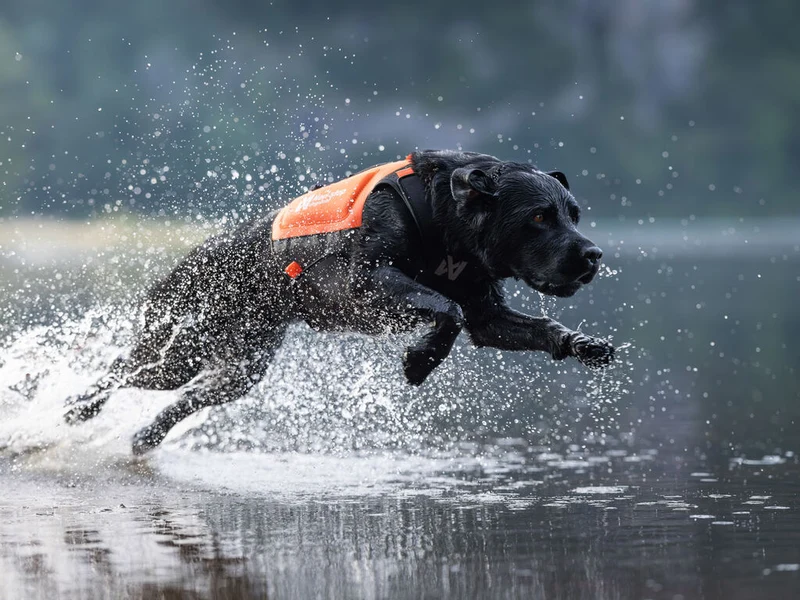 Non-stop Protector neoprene vest