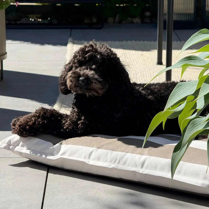 Giardino Hundekissen Off-White/Kiesel