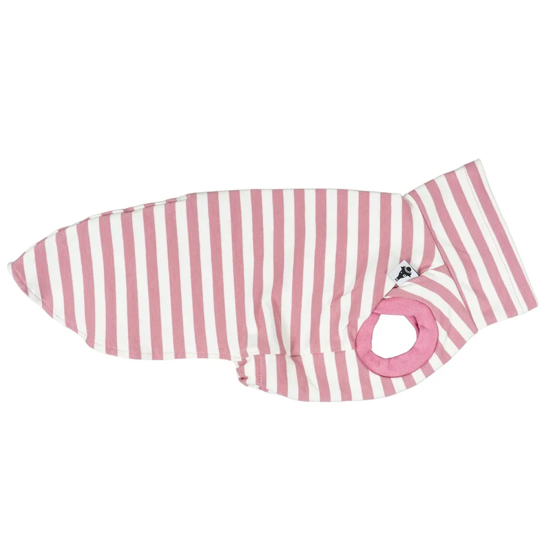 Cotton Shirt für Dackel Pink Stripes