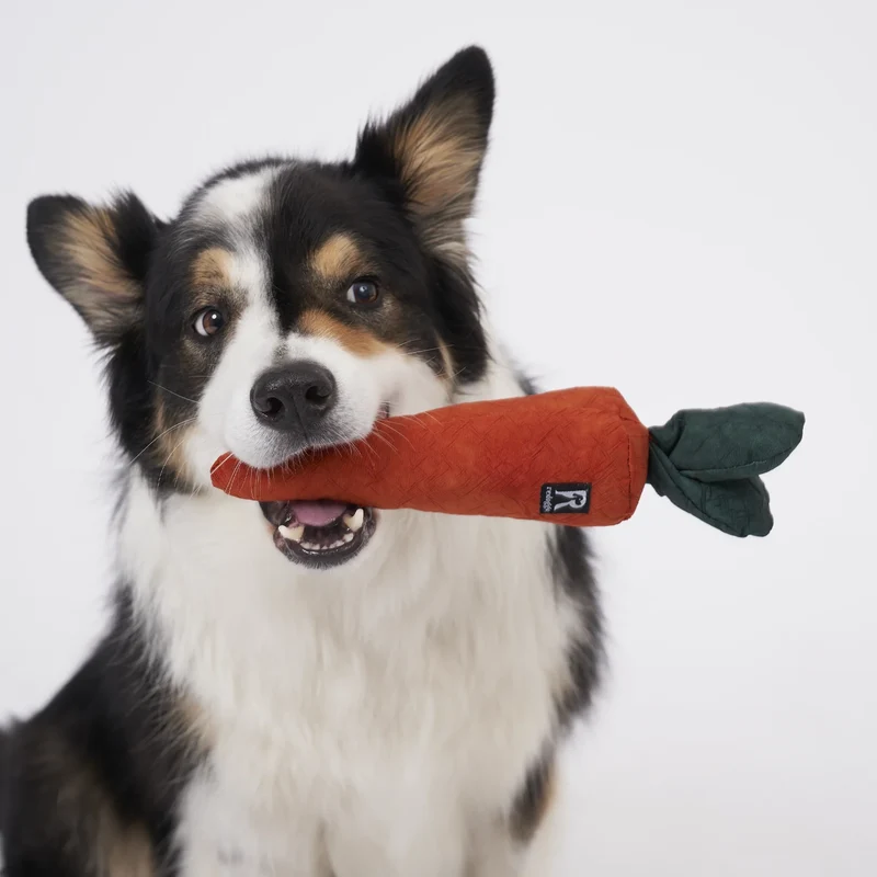 Redoggo Karotte