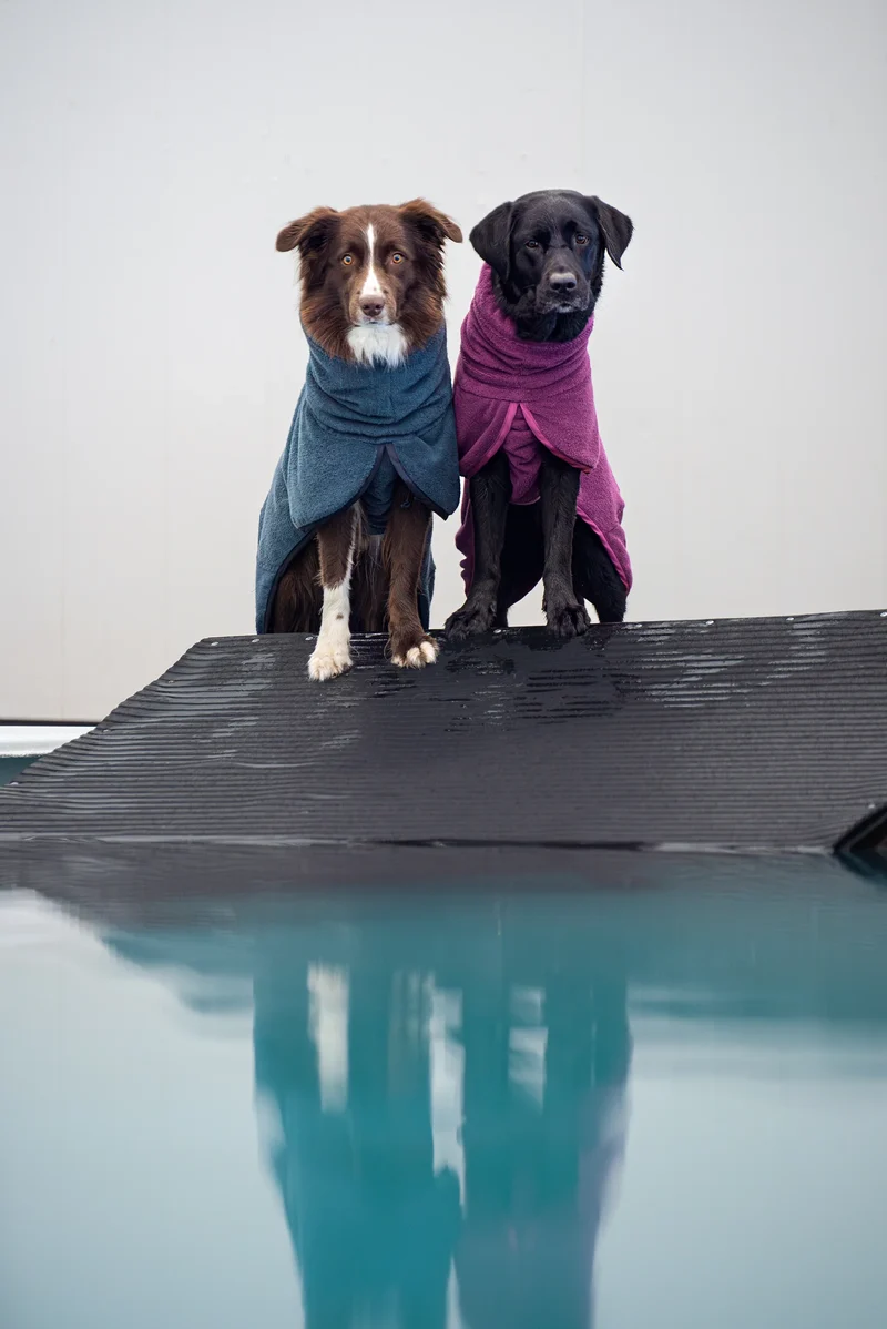 BathPomppa - der Hundebademantel