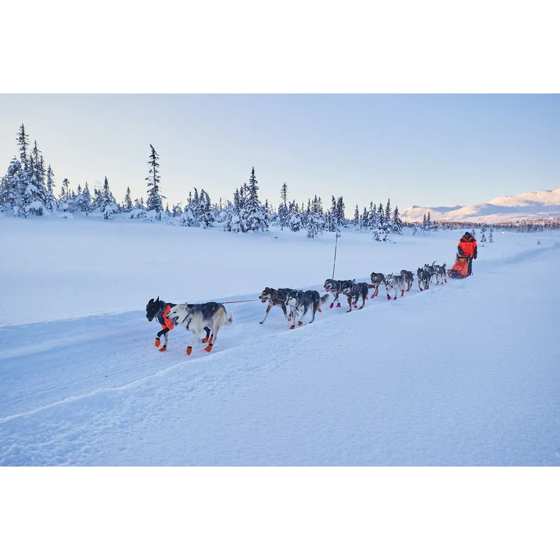 Non-stop Nansen nome harness 5.0