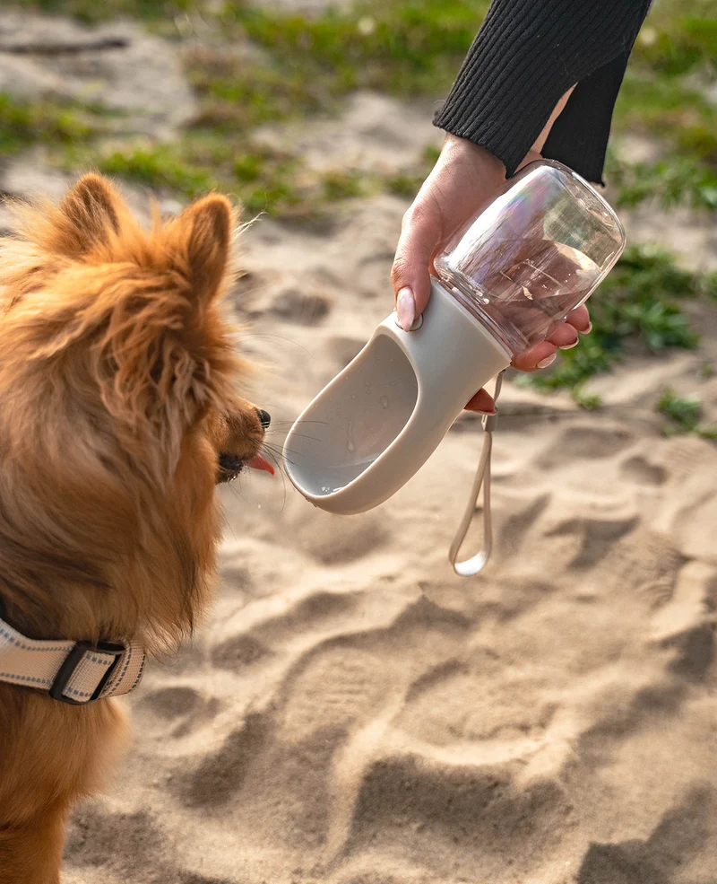 Wasserflasche für unterwegs