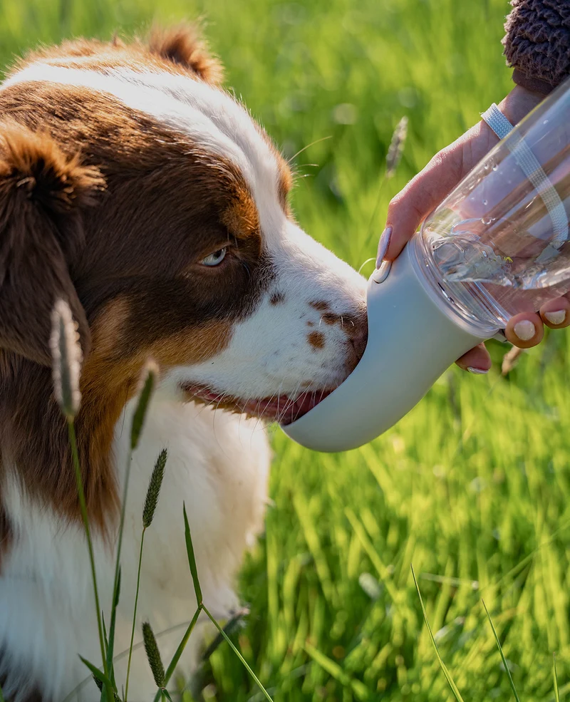 Wasserflasche für unterwegs