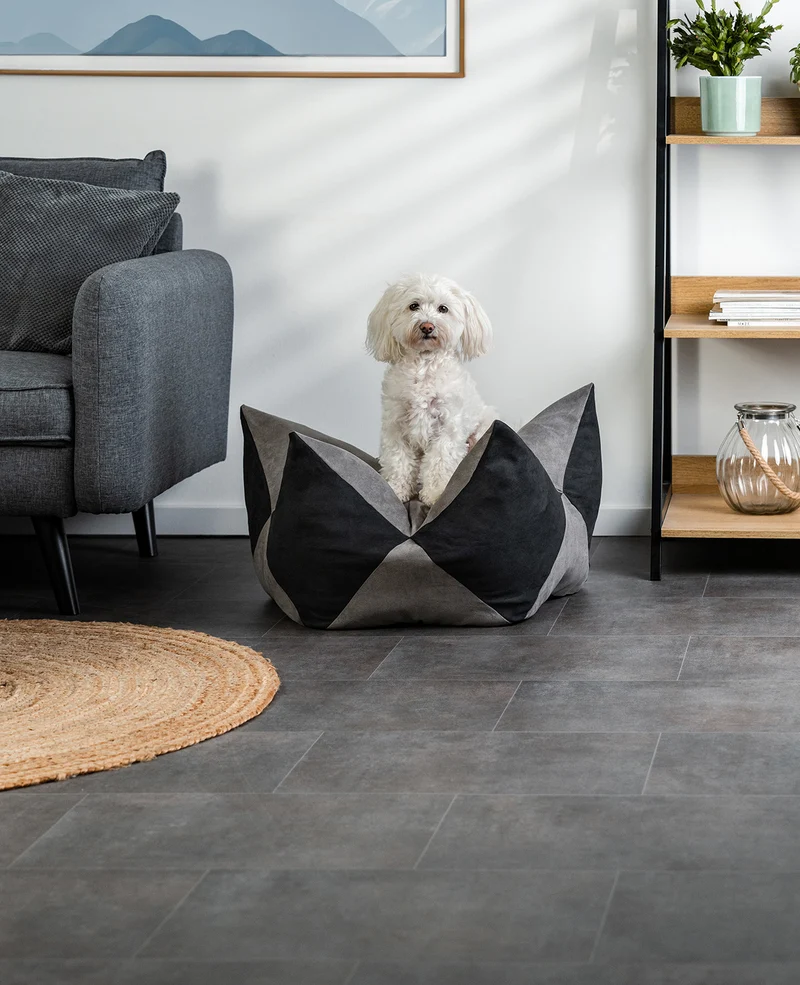 Kronenkissen für Hunde