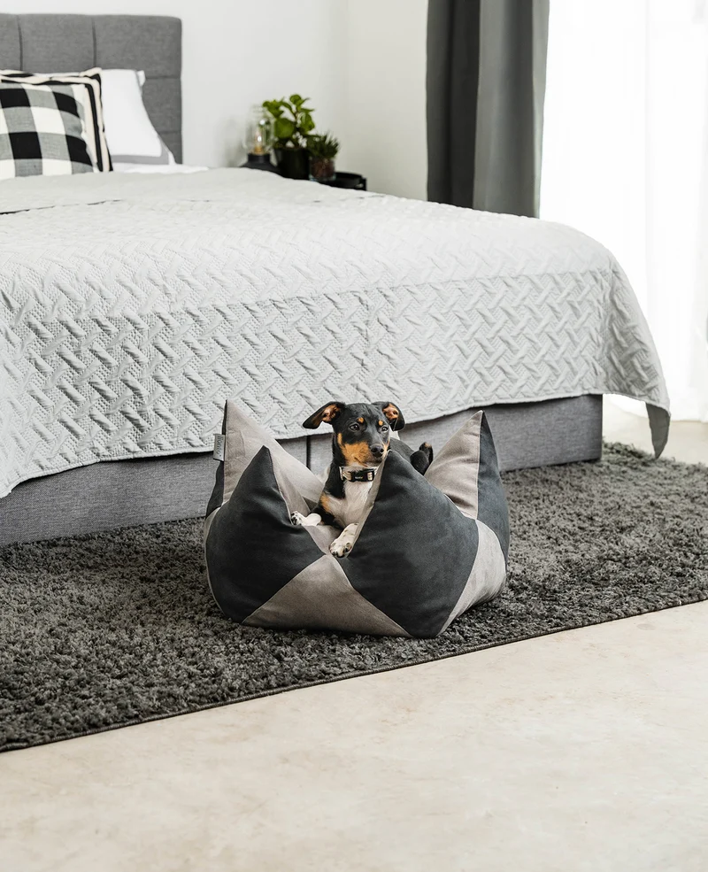 Kronenkissen für Hunde