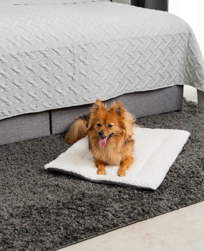 Wendedecke für Hunde
