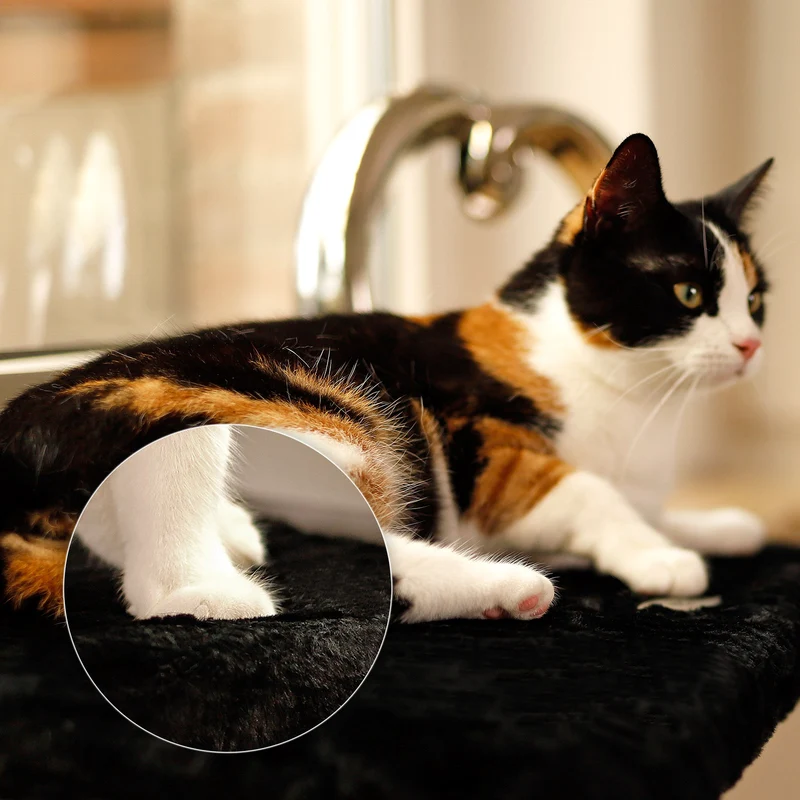 Fensterbankliege für Katzen