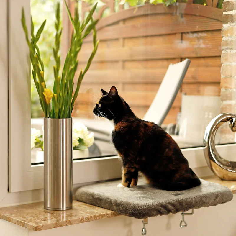 Fensterbankliege für Katzen