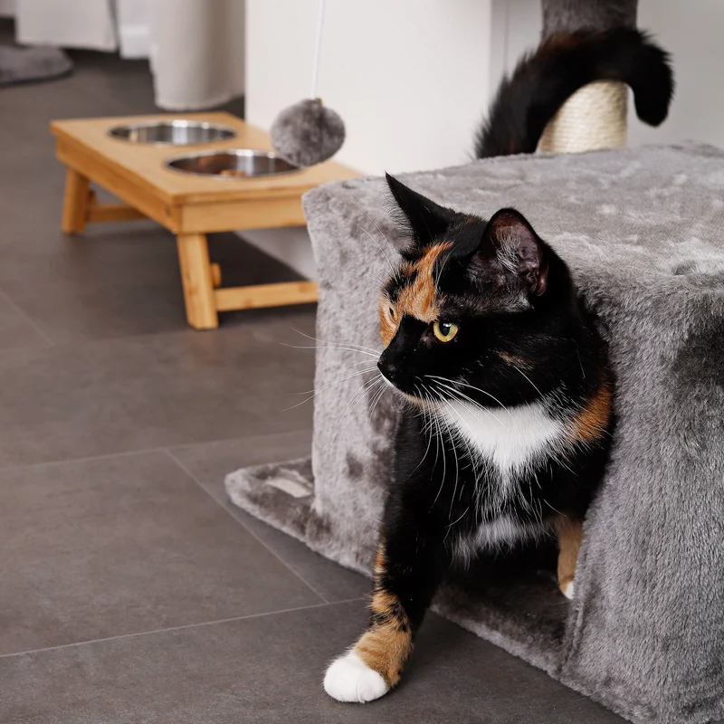 Futterstation für Katzen mit Bambusgestell
