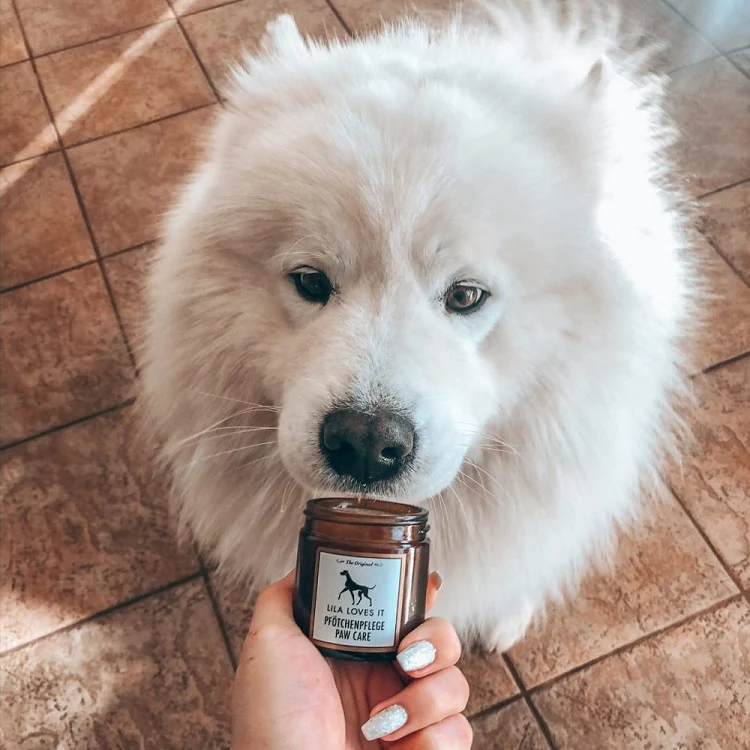 Paw Care 60 ml