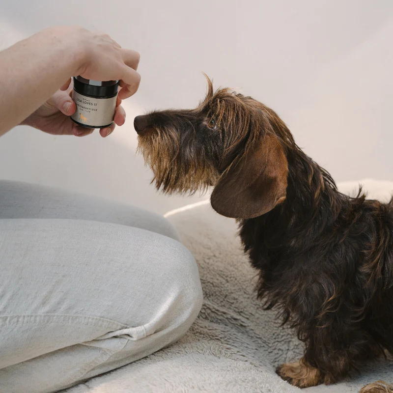Paw Care 60 ml