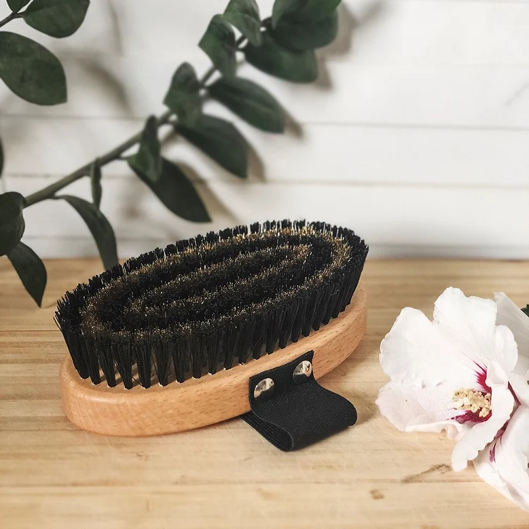 Dog Brush Shorthair