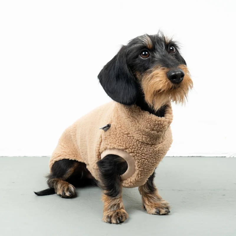 Teddy Shirt für Dackel Sand Beige