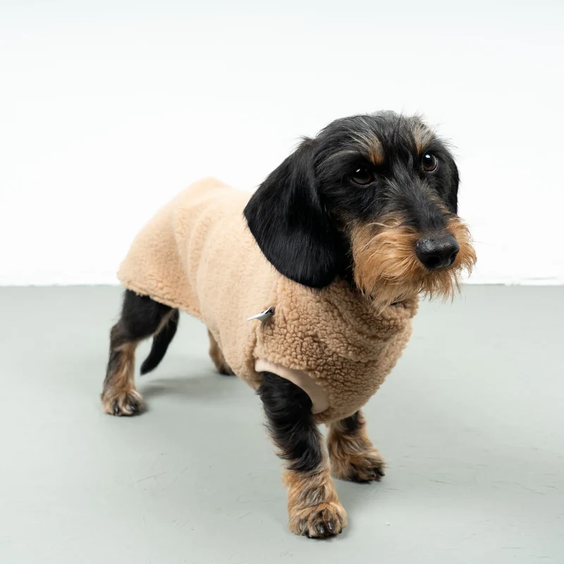 Teddy Shirt für Dackel Sand Beige