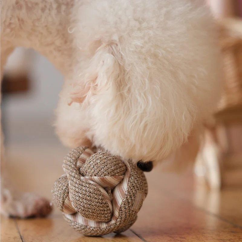 Schnüffelspielzeug Mini Monti Expresso