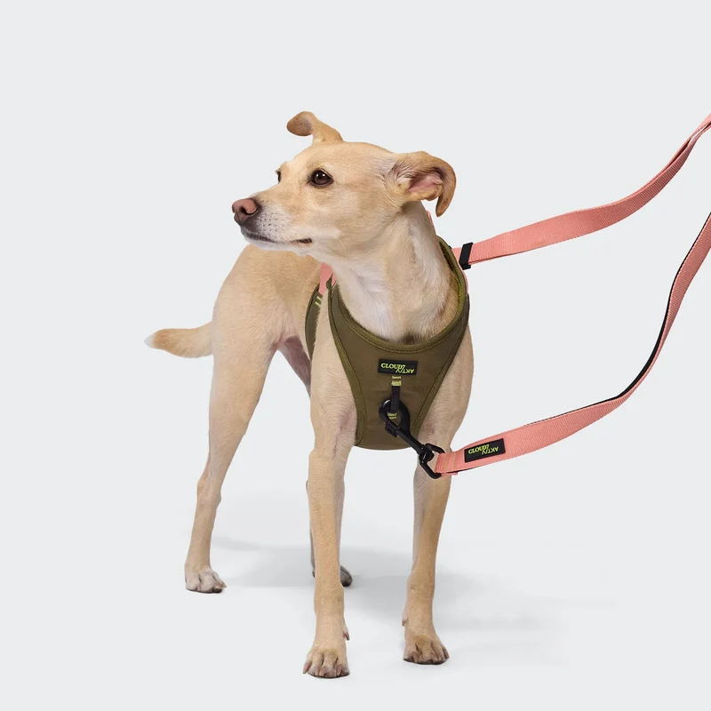 V-2 Westengeschirr AKTIV Cordura Khaki/Peach