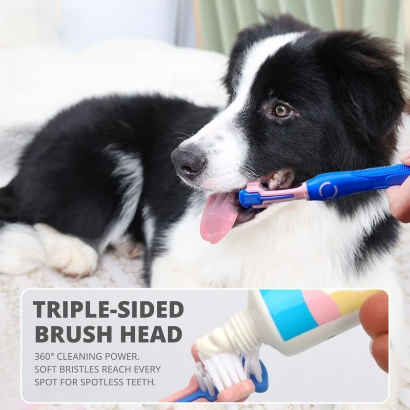 Triple-Headed Toothbrush Kit | Dogs & Cats