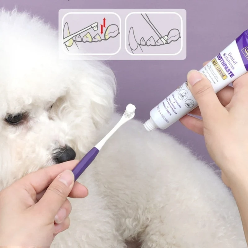 Ultra-Soft Toothbrush Kit | Dogs & Cats