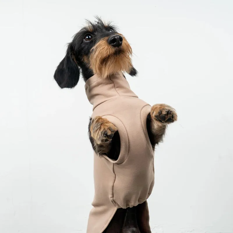 Cotton Shirt für Dackel Puder Beige