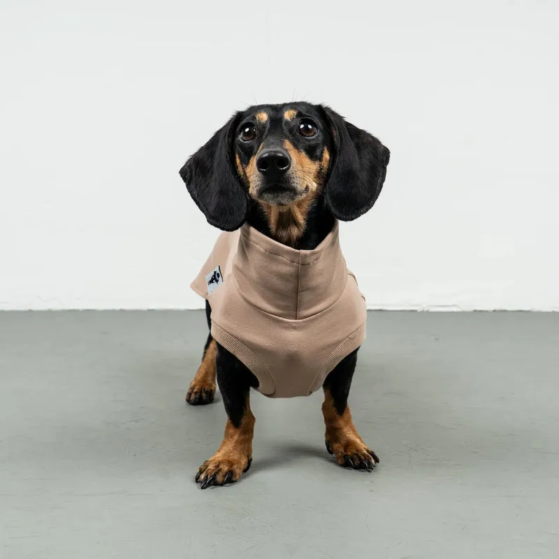 Cotton Shirt für Dackel Puder Beige