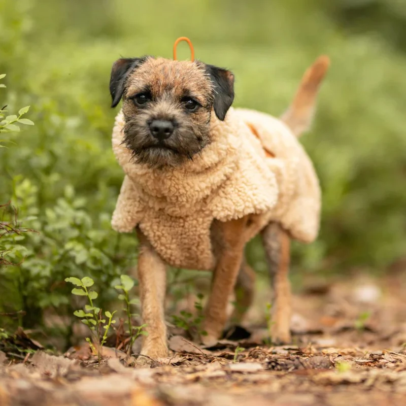 Hundepullover Sherpa Taupe