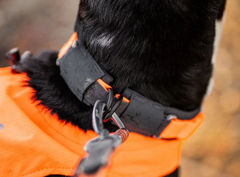 Protector Collar