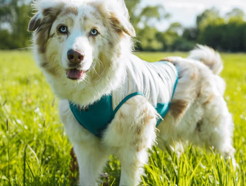 Non-stop Cooling pull-on vest