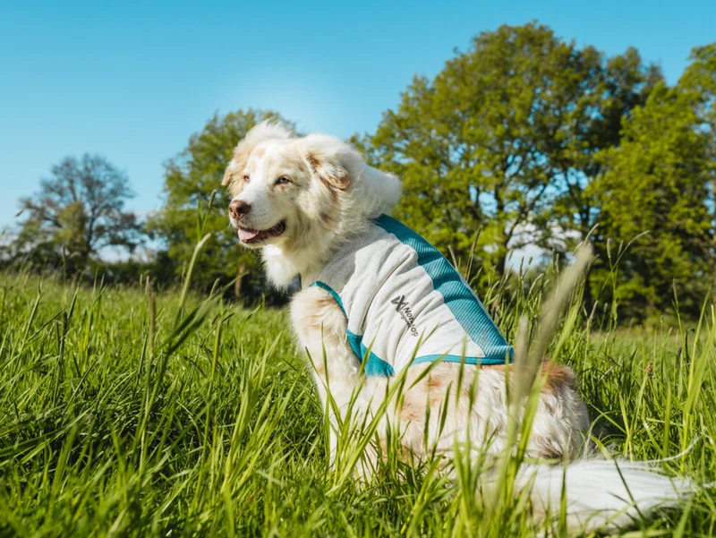 Non-stop Cooling pull-on vest