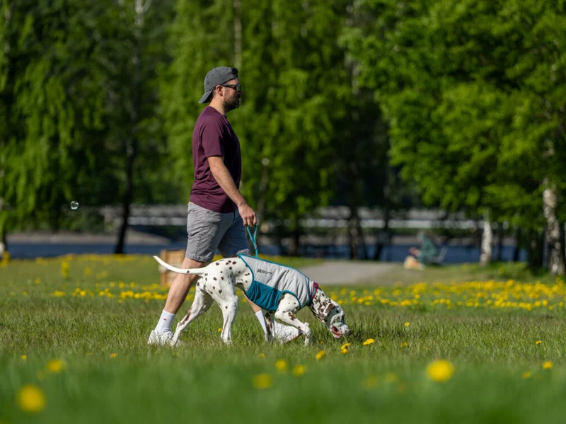 Non-stop Cooling pull-on vest