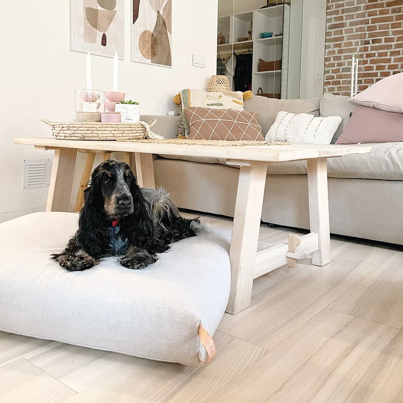 KiiMA Dog Cushion