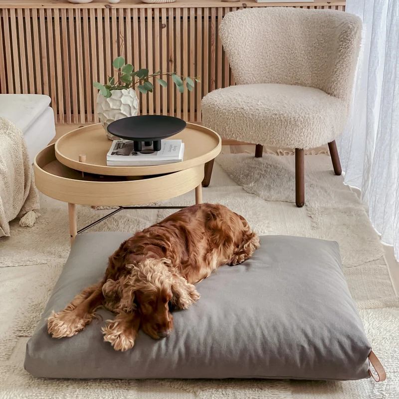 KiiMA Dog Cushion