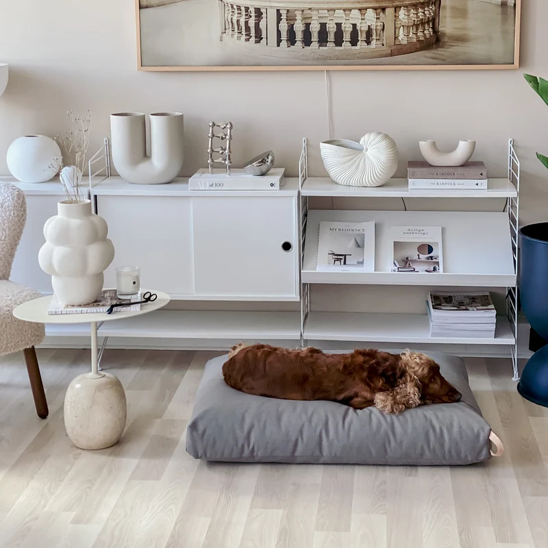KiiMA Dog Cushion