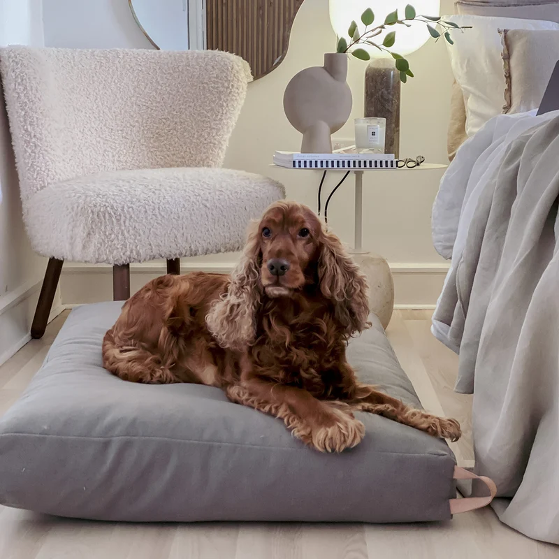 KiiMA Dog Cushion